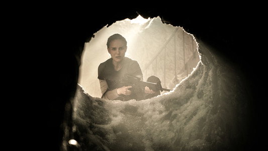Annihilation
