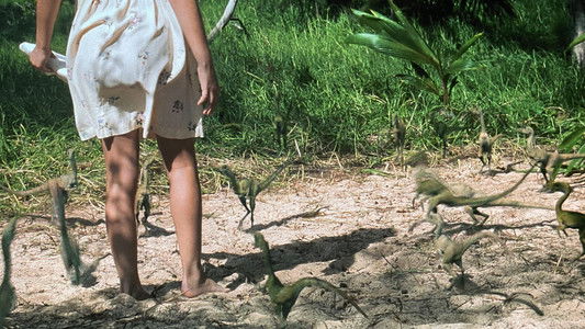 The Lost World: Jurassic Park