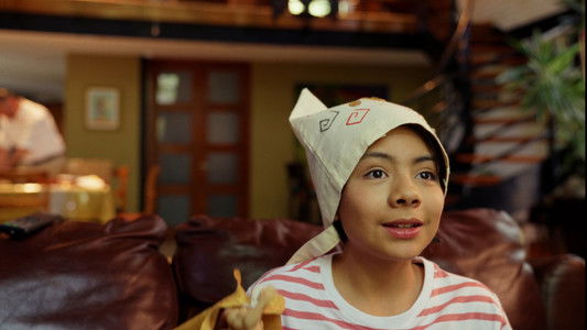 El vuelo del Cóndor