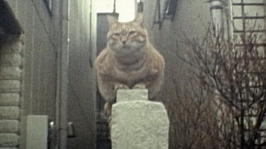 紀子の食卓
