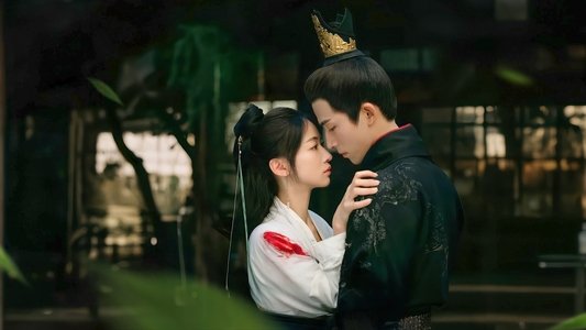 墨雨云间