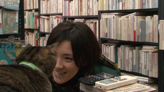 私は猫ストーカー