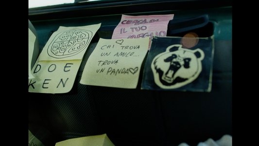 Il Panda Minore