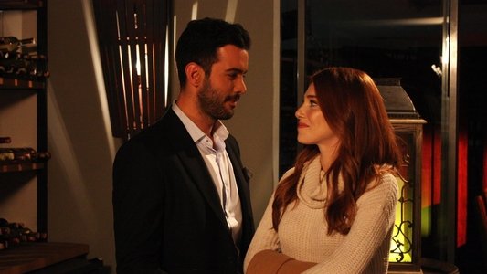 Kiralık Aşk