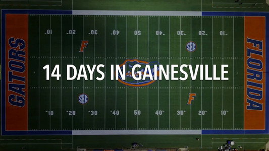 14 Days in Gainesville