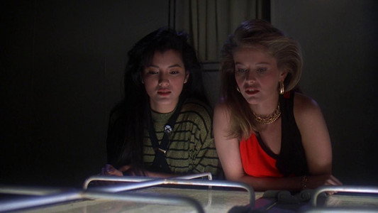 Friday the 13th Part VIII: Jason Takes Manhattan