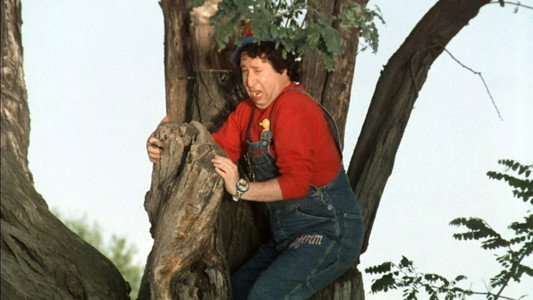 Pierino torna a scuola