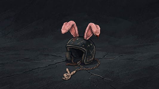 Road Bunny