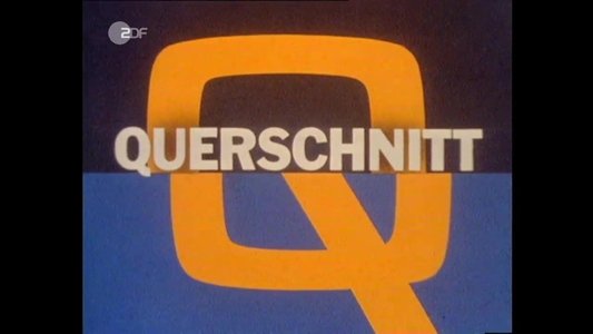 Querschnitt