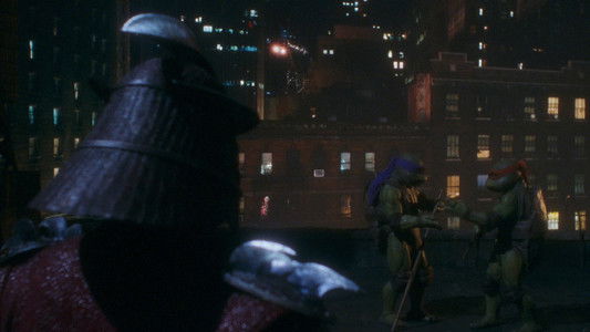 Teenage Mutant Ninja Turtles