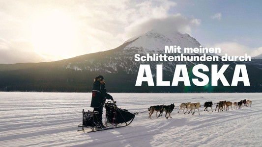 Musher, l'appel de l'Alaska
