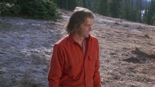 The Further Adventures of the Wilderness Family