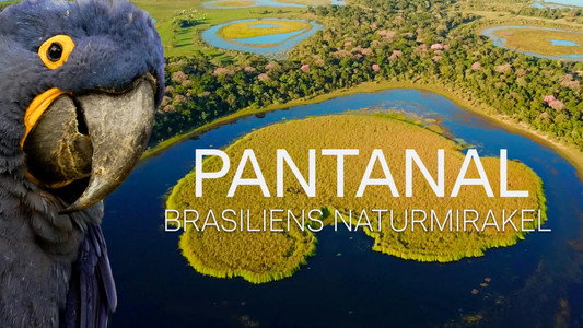 Naturwunder Pantanal - Brasiliens geheimnisvolle Wildnis