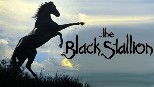 The Black Stallion
