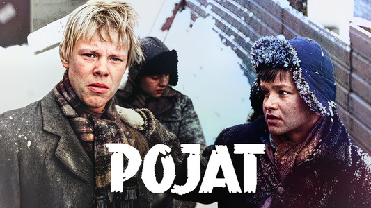 Pojat