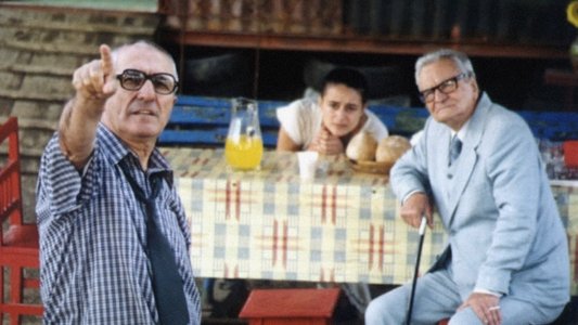 După-amiaza unui torționar