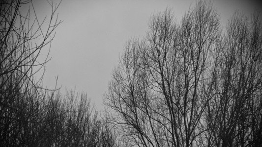 In Winter