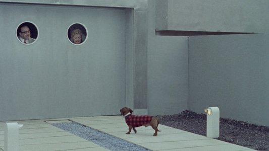 Mon oncle