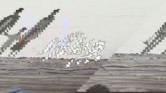 上岸的魚