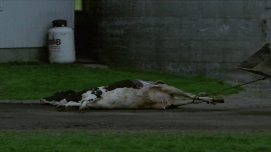 Tom à la ferme
