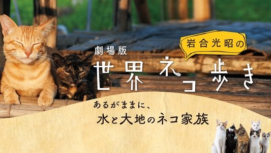 岩合光昭の世界ネコ歩き