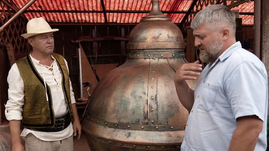 Vasile și naveta spațială