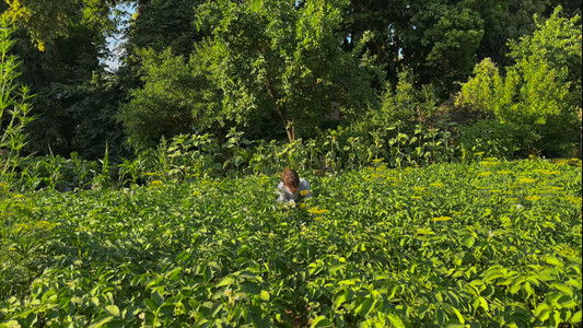 Latvijas Izmeklētāji