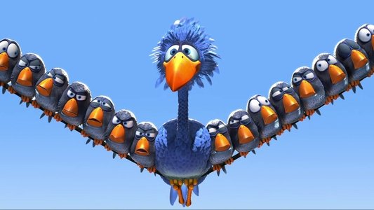 For the Birds