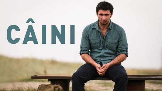 Câini