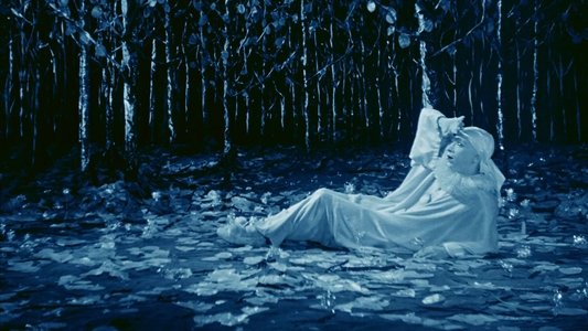 Rabbit's Moon