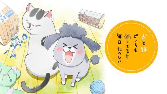 犬と猫どっちも飼ってると毎日たのしい