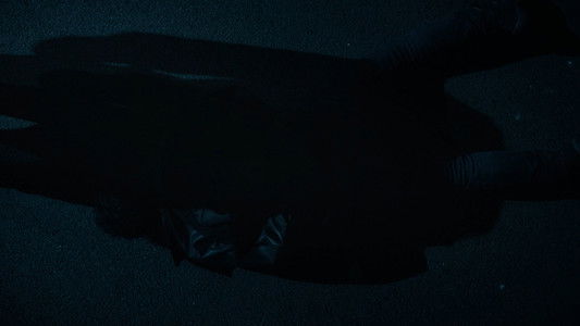 Hiding in Plain Sight