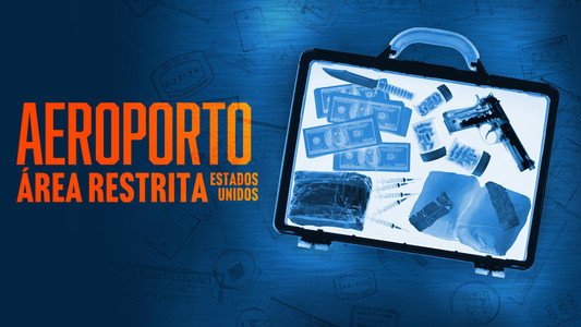 Contraband: Seized at the Airport