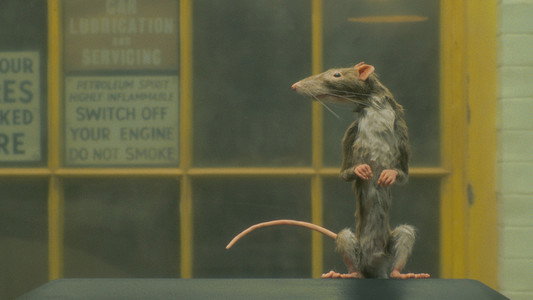 The Rat Catcher