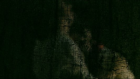 সত্যান্বেষী