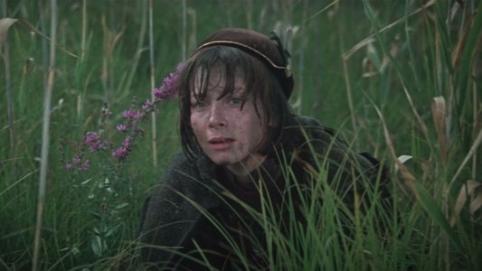 Черная стрела