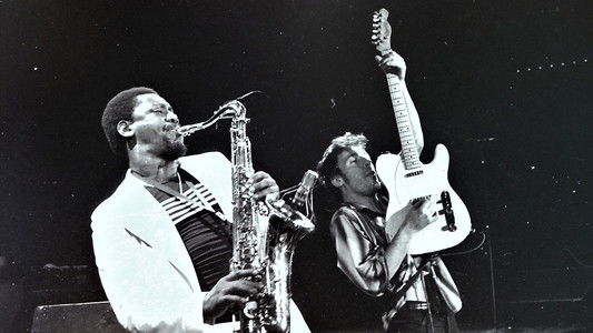 Bruce Springsteen & the E Street Band Houston '78 Bootleg: House Cut