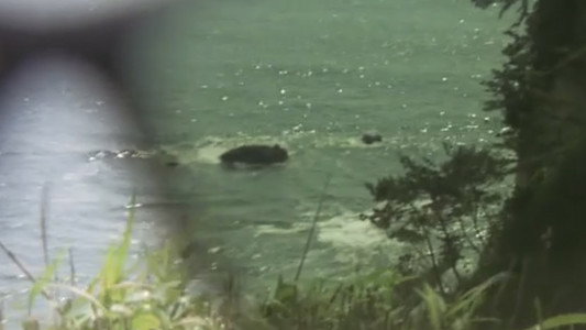 ひと夏の秘密