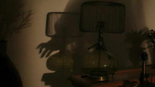 The Woman in the Yard