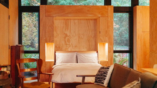 The Cabin Chronicles