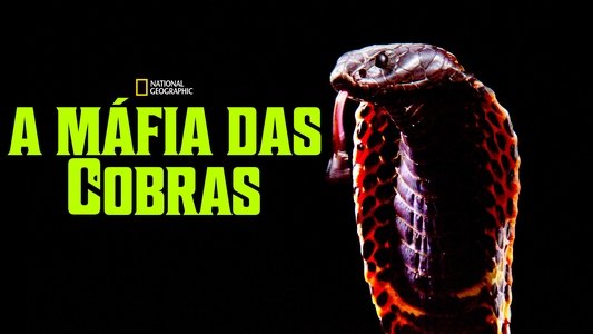 Cobra Mafia