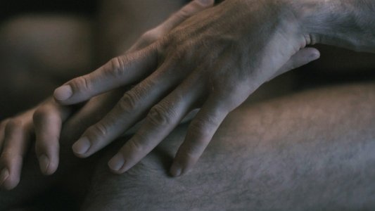 Anatomia di un rapporto