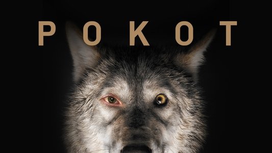 Pokot