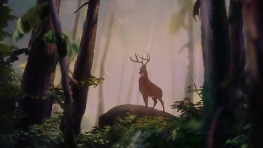 Bambi