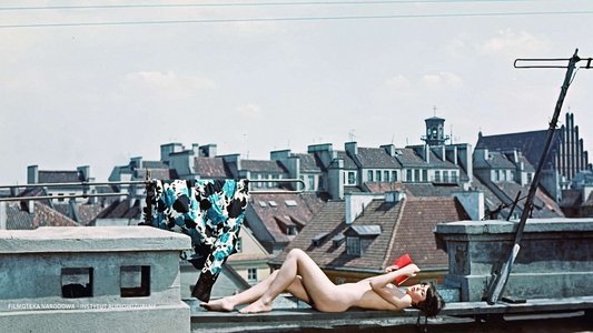 Małżeństwo z rozsądku