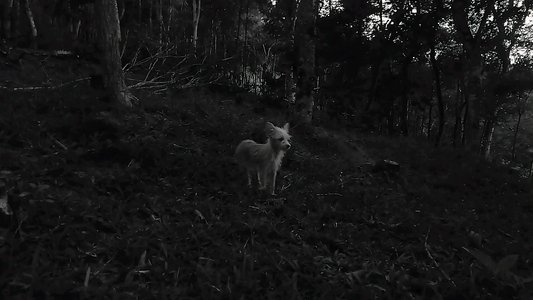 As Conspirações Alienígenas: part. I