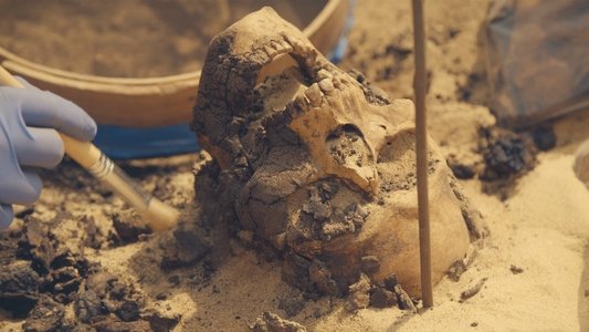 Lost Treasures of Egypt