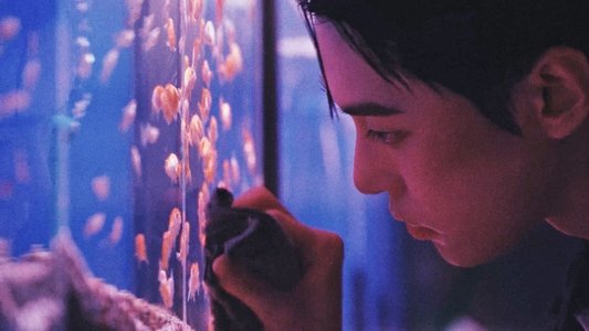 불가사의 in Seoul (DOYOUNG ver.)