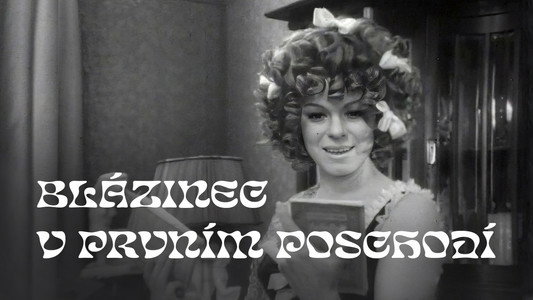 Blázinec v 1. poschodí