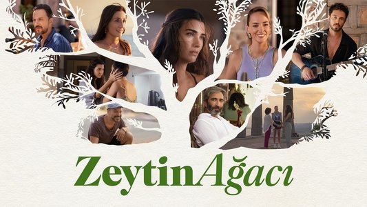 Zeytin Ağacı